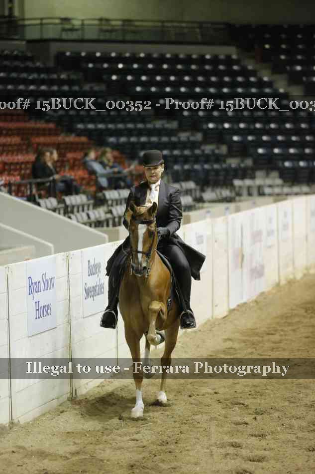 Proof Number 15BUCK_00352