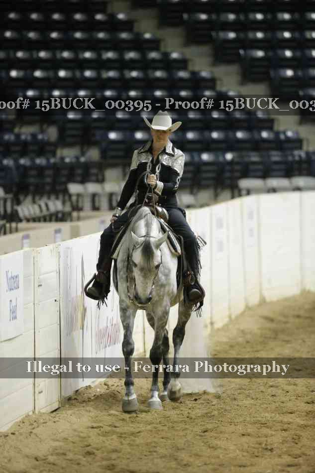Proof Number 15BUCK_00395