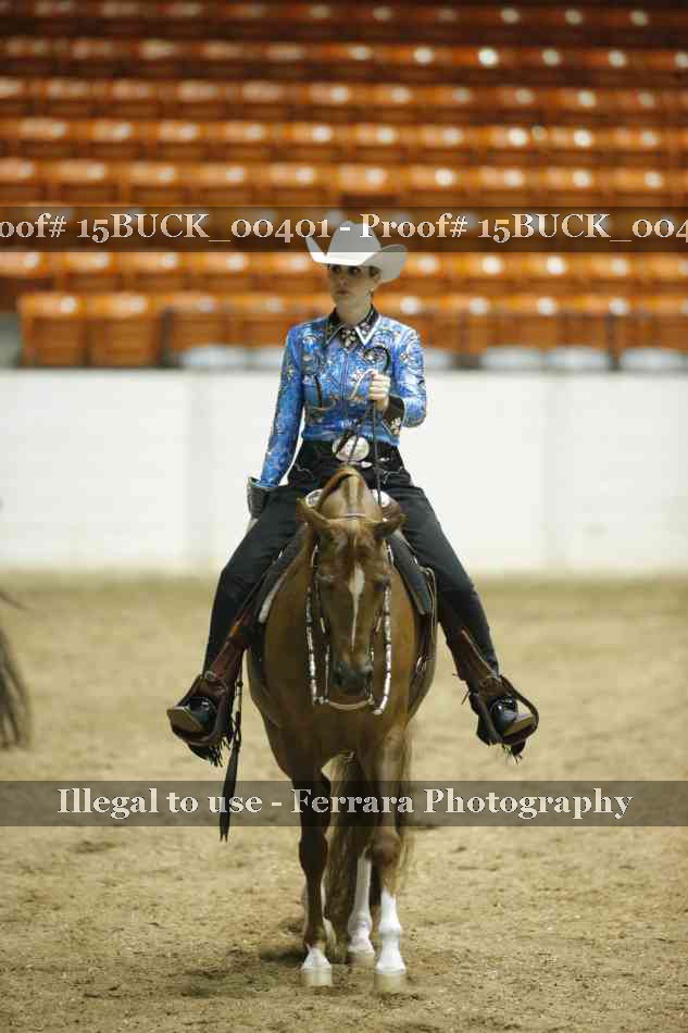 Proof Number 15BUCK_00401