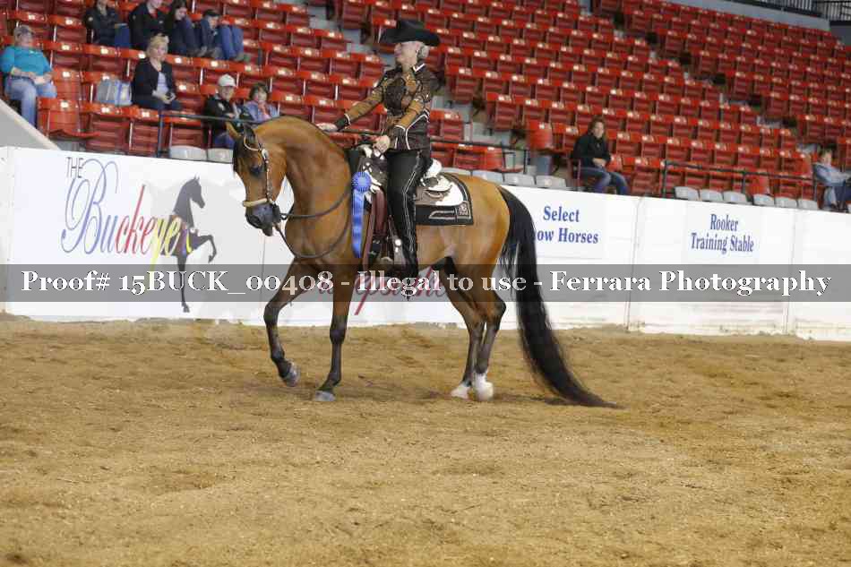 Proof Number 15BUCK_00408