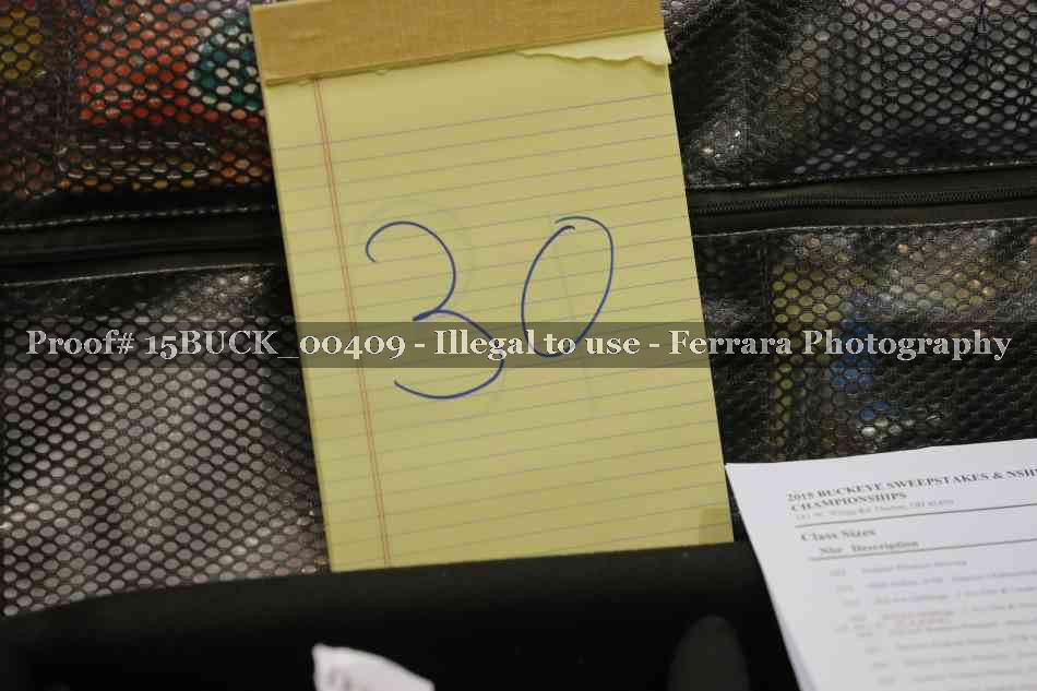 Proof Number 15BUCK_00409