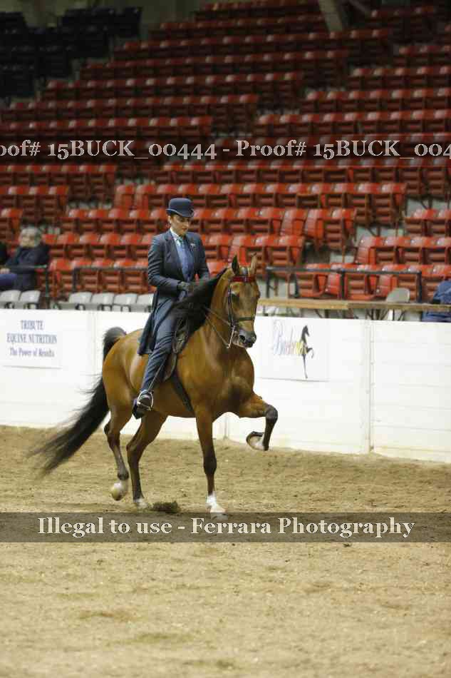 Proof Number 15BUCK_00444