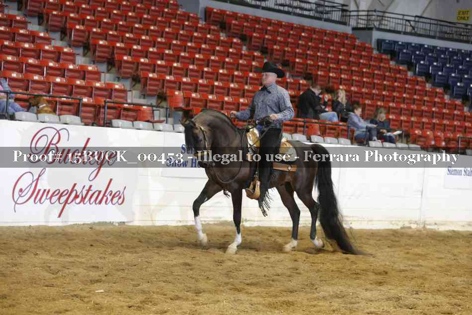 Proof Number 15BUCK_00453
