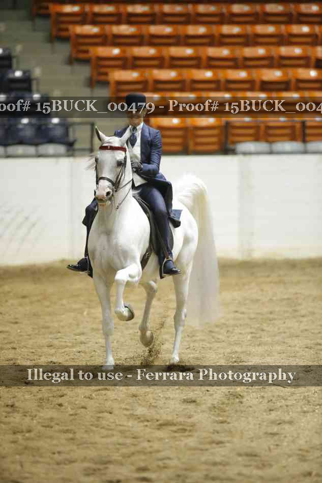 Proof Number 15BUCK_00479