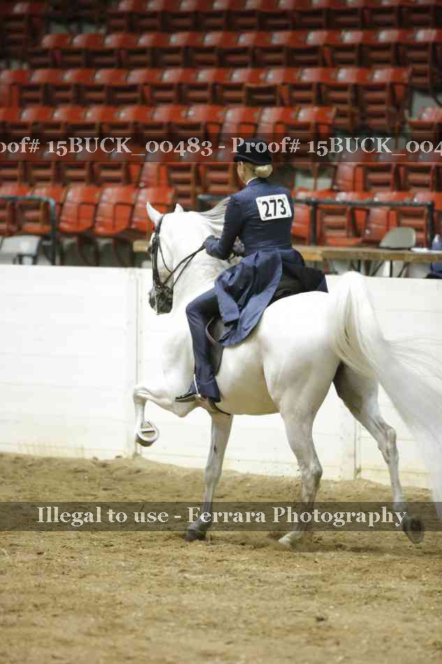 Proof Number 15BUCK_00483