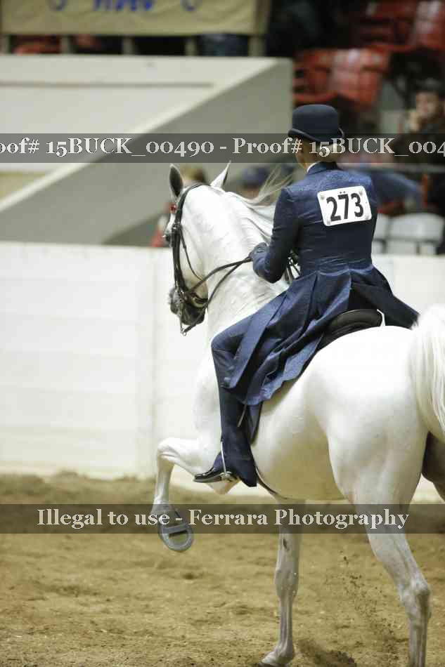 Proof Number 15BUCK_00490
