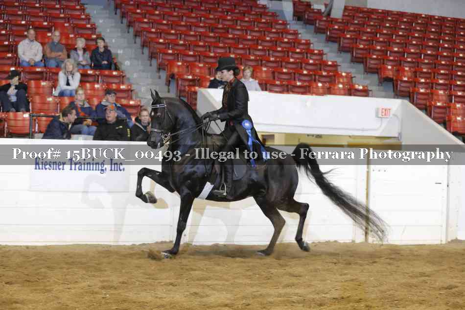 Proof Number 15BUCK_00493