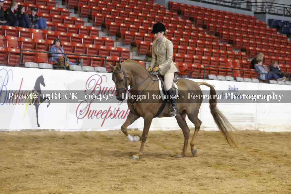 Proof Number 15BUCK_00497