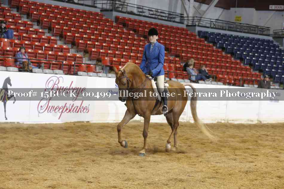 Proof Number 15BUCK_00499