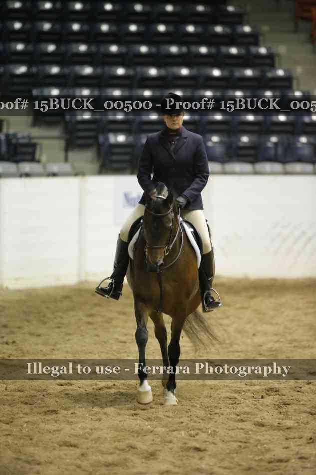 Proof Number 15BUCK_00500