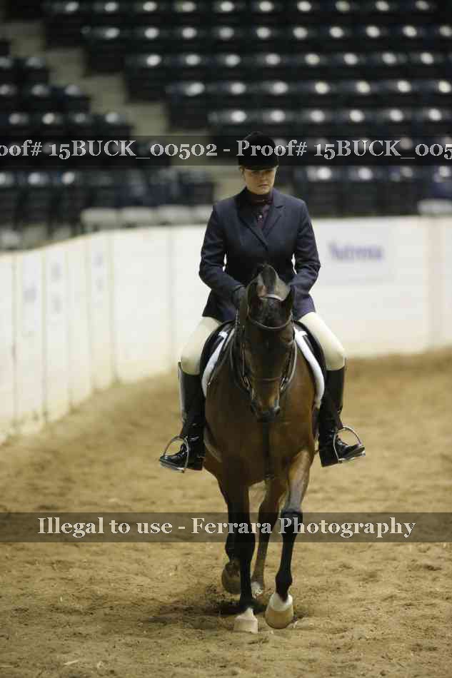Proof Number 15BUCK_00502