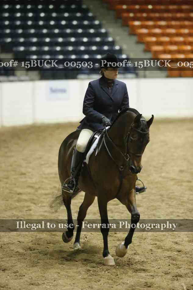 Proof Number 15BUCK_00503