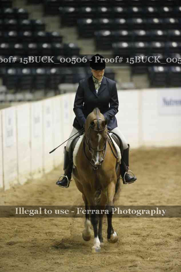 Proof Number 15BUCK_00506