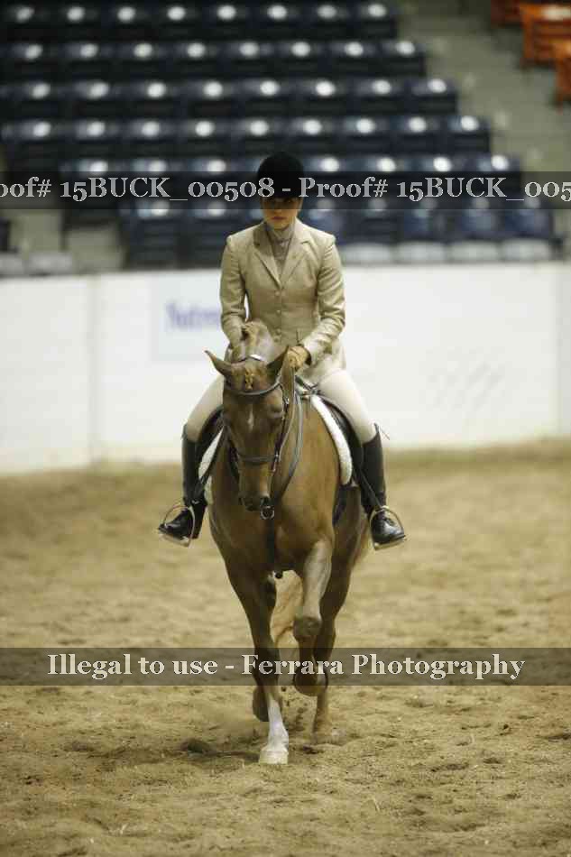 Proof Number 15BUCK_00508