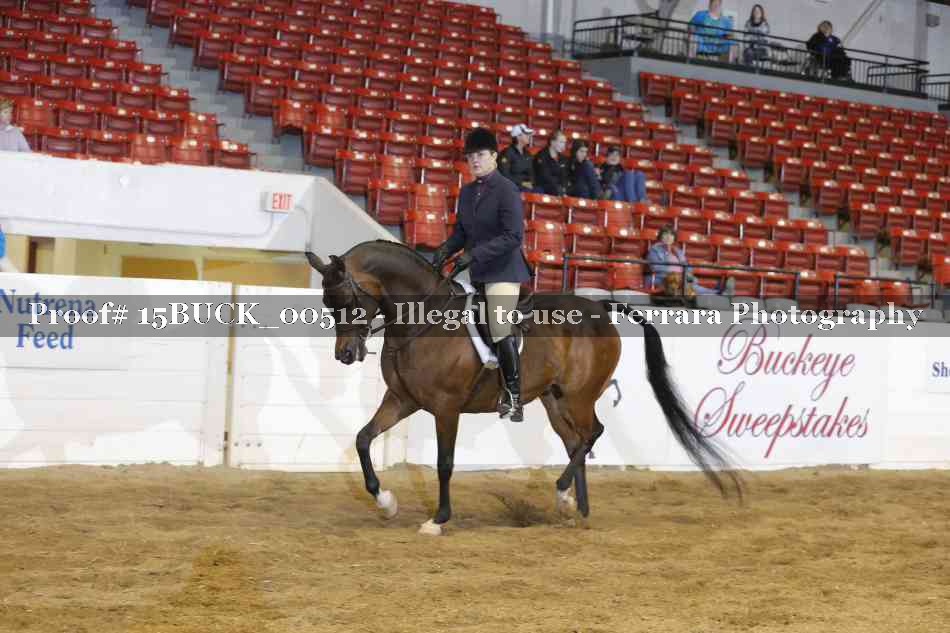 Proof Number 15BUCK_00512