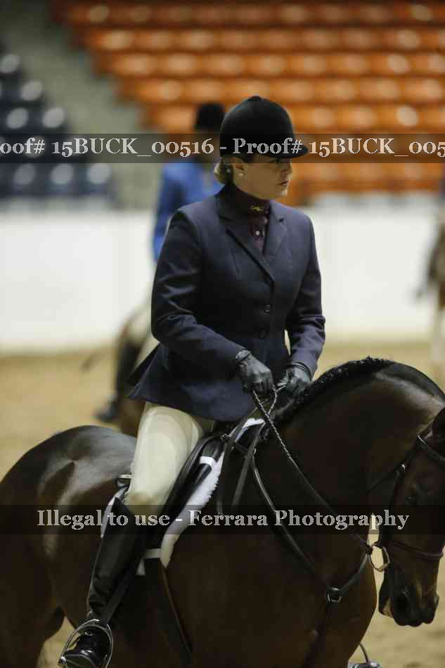 Proof Number 15BUCK_00516