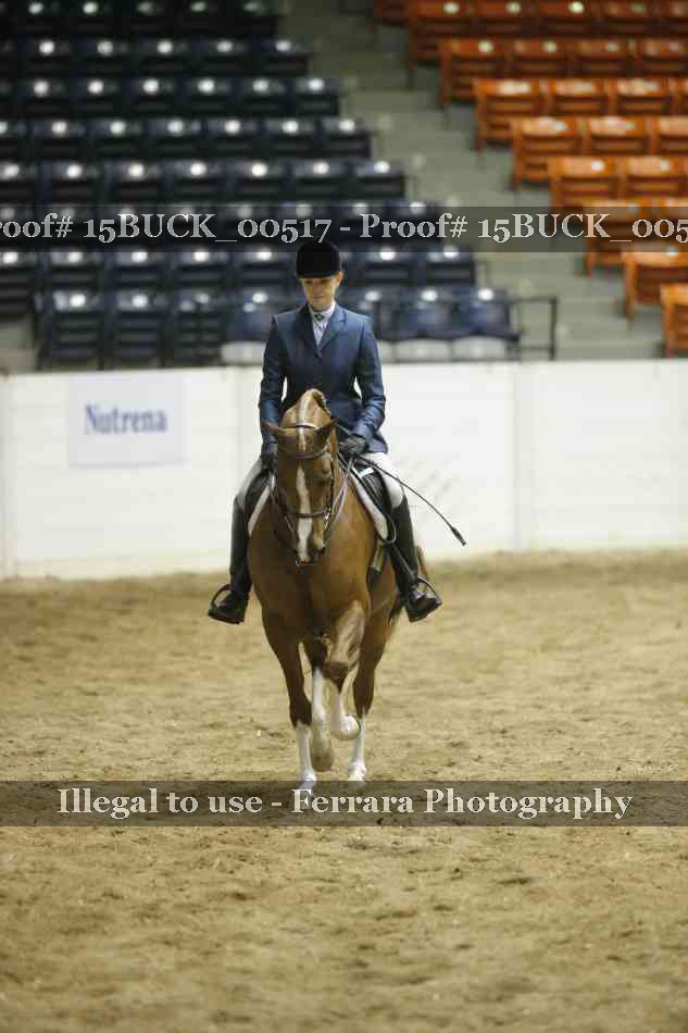 Proof Number 15BUCK_00517