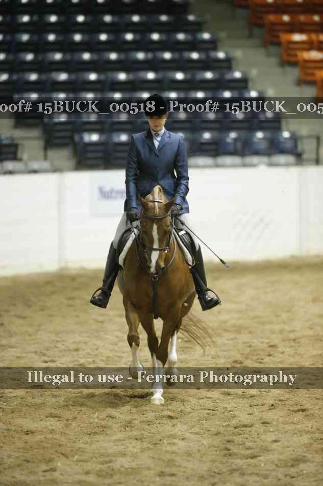 Proof Number 15BUCK_00518