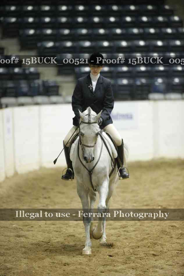 Proof Number 15BUCK_00521