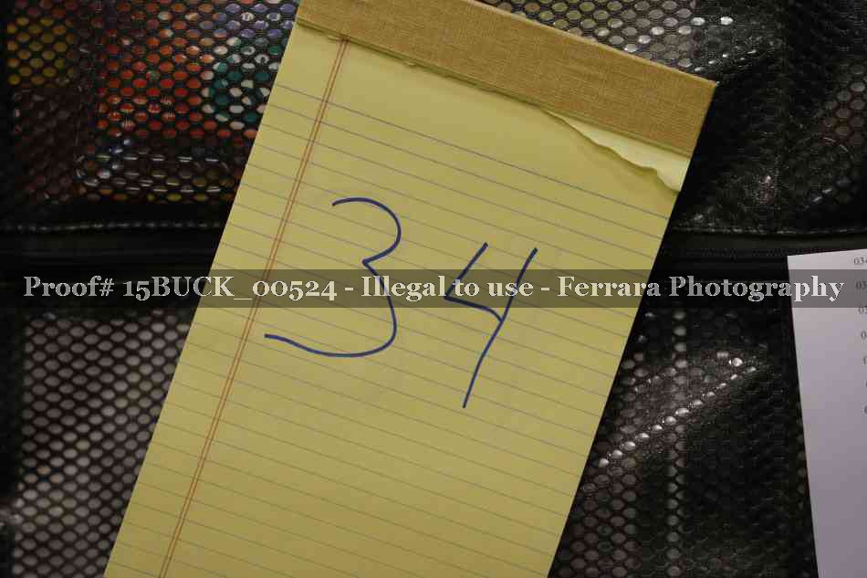Proof Number 15BUCK_00524