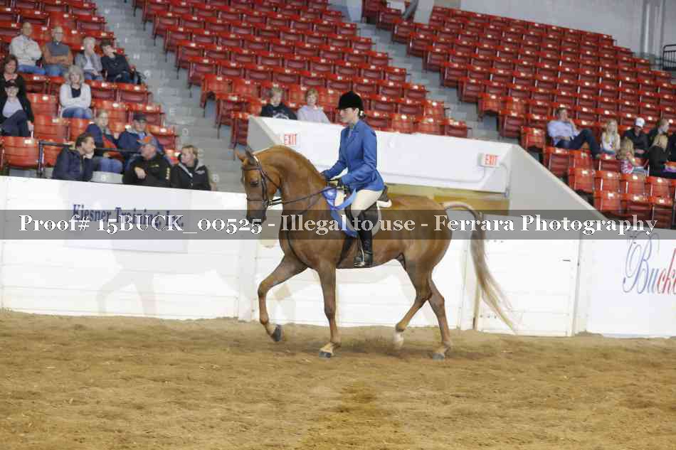 Proof Number 15BUCK_00525