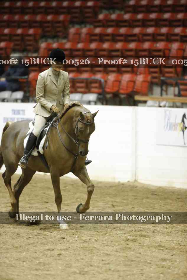 Proof Number 15BUCK_00526