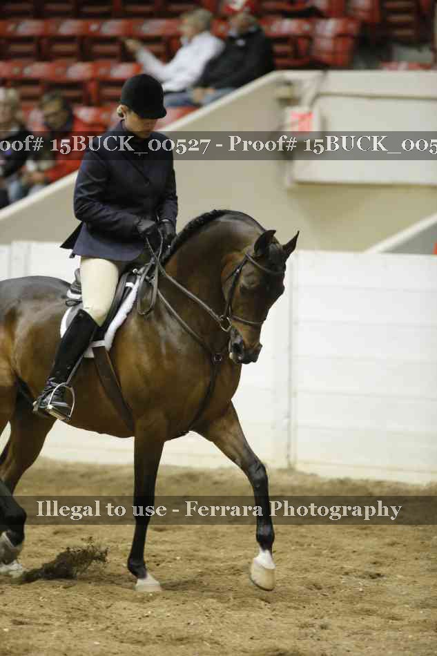 Proof Number 15BUCK_00527