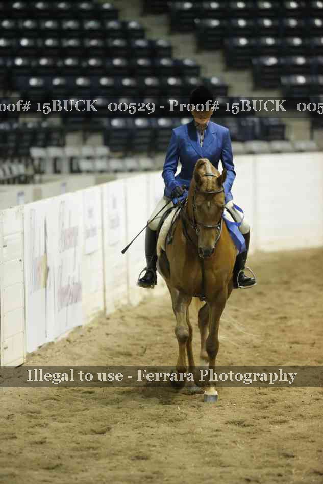 Proof Number 15BUCK_00529