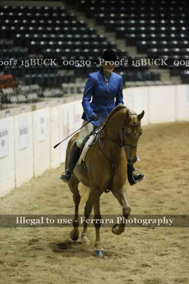 Proof Number 15BUCK_00530