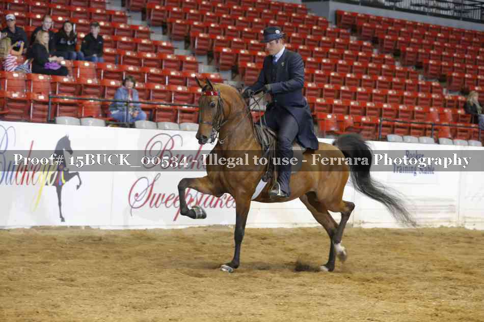 Proof Number 15BUCK_00534