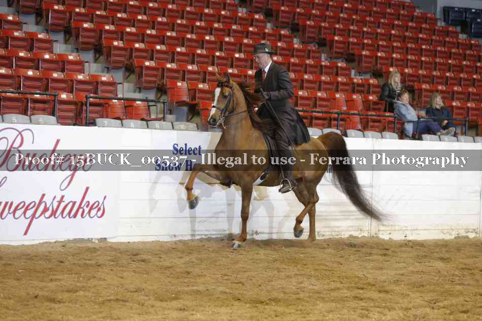 Proof Number 15BUCK_00537