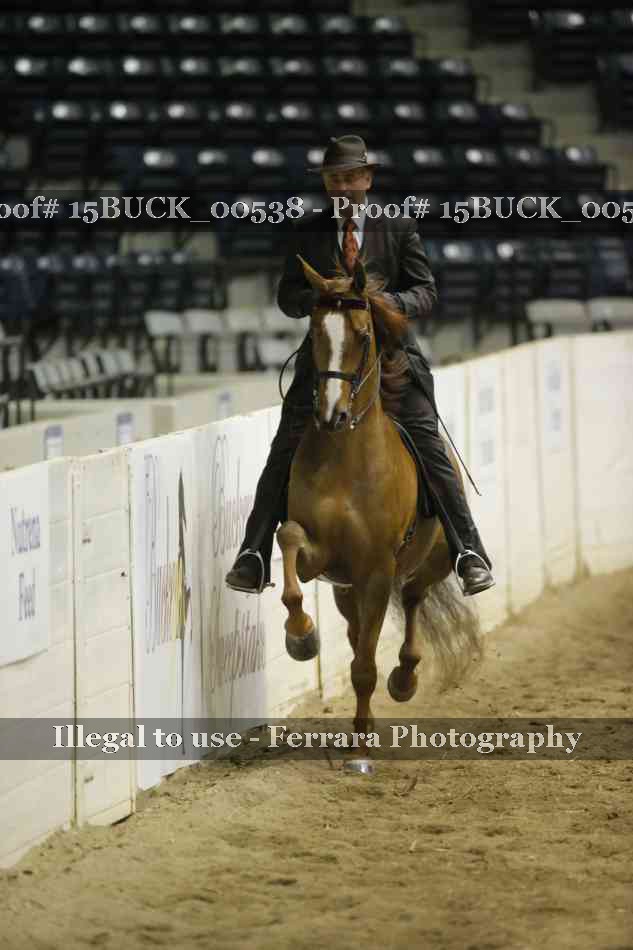 Proof Number 15BUCK_00538