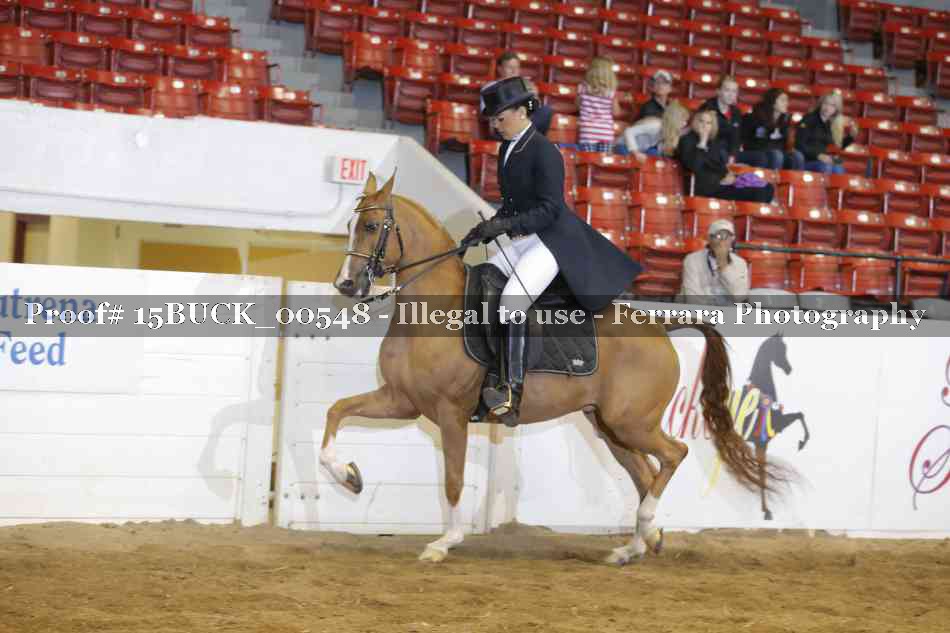 Proof Number 15BUCK_00548