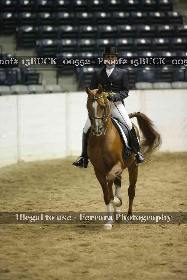 Proof Number 15BUCK_00552