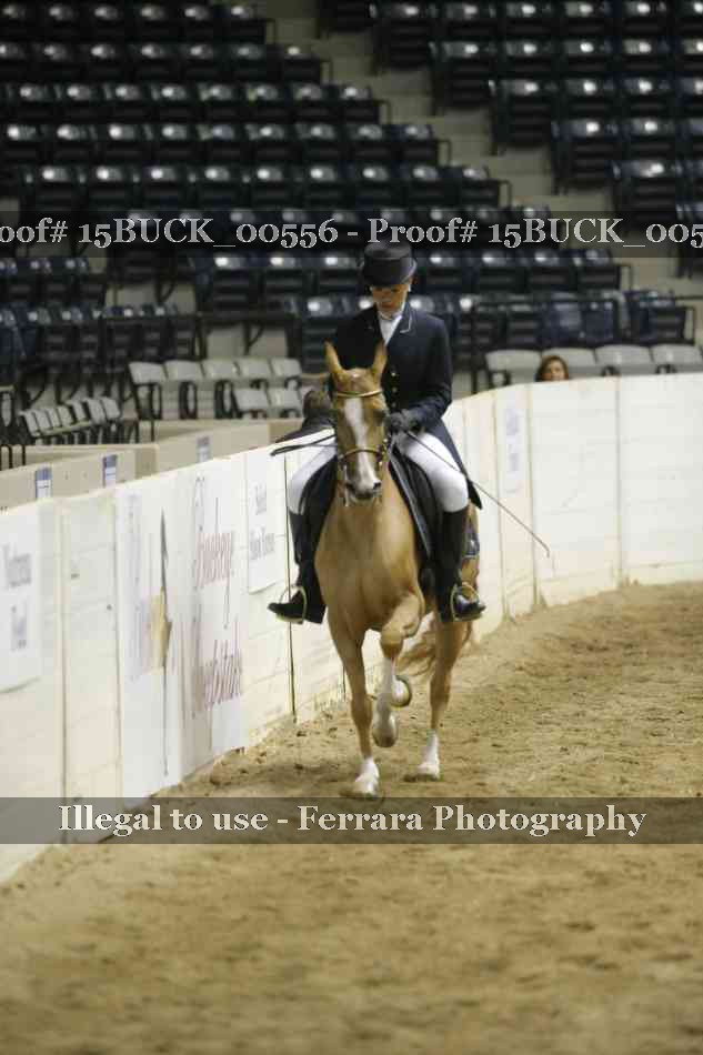 Proof Number 15BUCK_00556