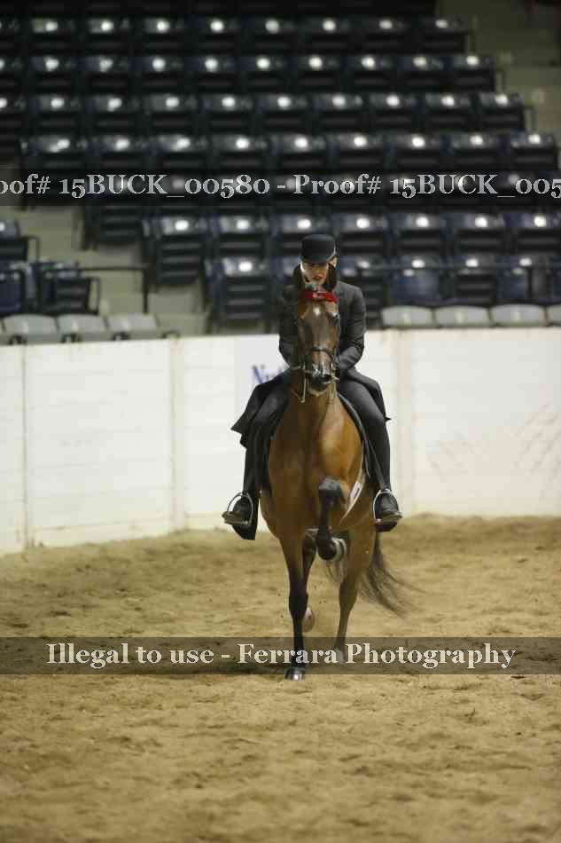 Proof Number 15BUCK_00580