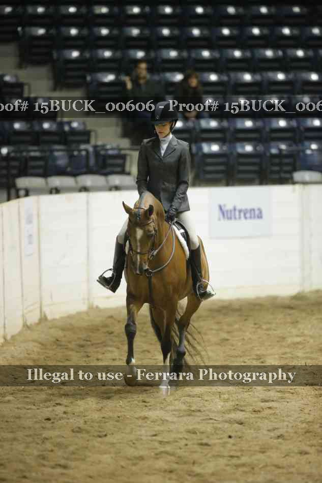Proof Number 15BUCK_00606