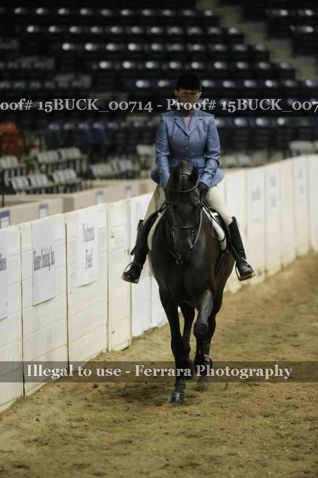 Proof Number 15BUCK_00714