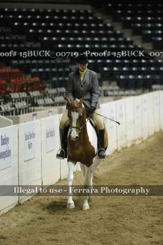 Proof Number 15BUCK_00719