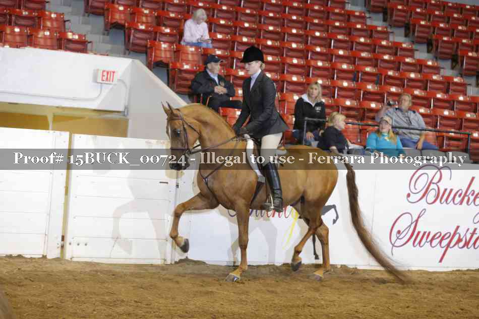 Proof Number 15BUCK_00724