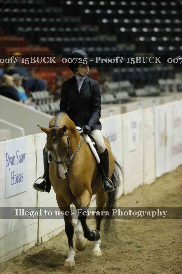 Proof Number 15BUCK_00725