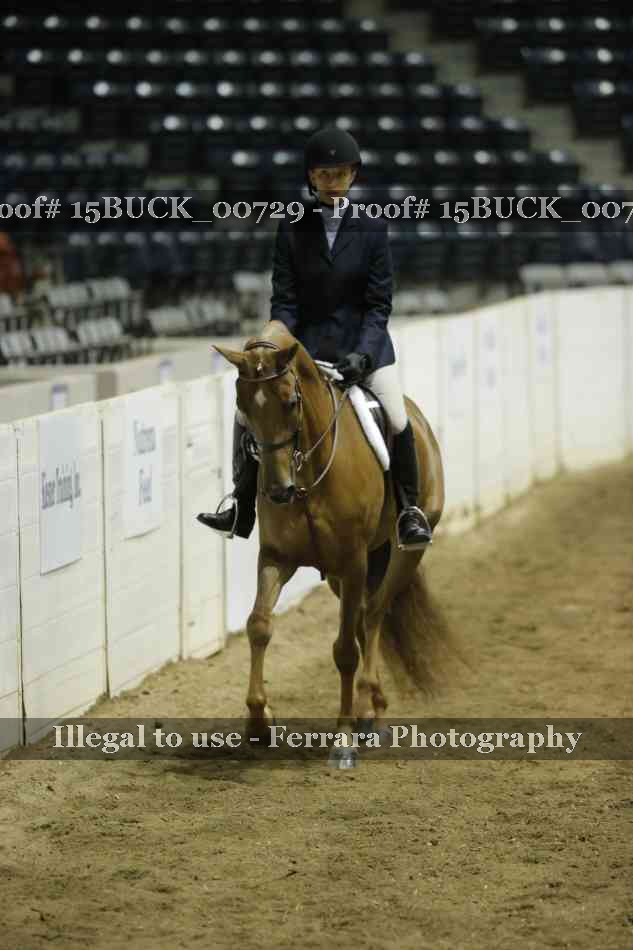 Proof Number 15BUCK_00729