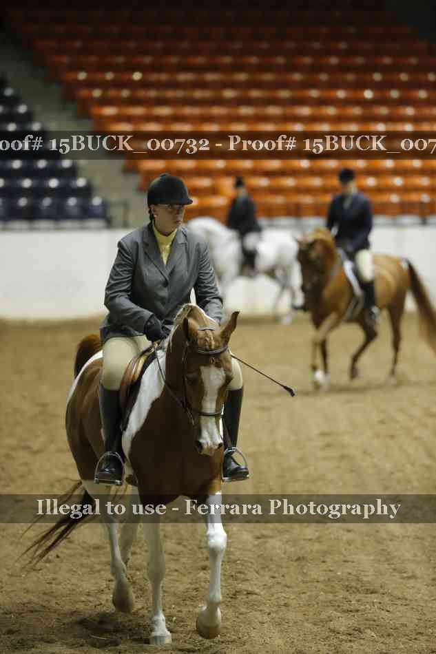 Proof Number 15BUCK_00732