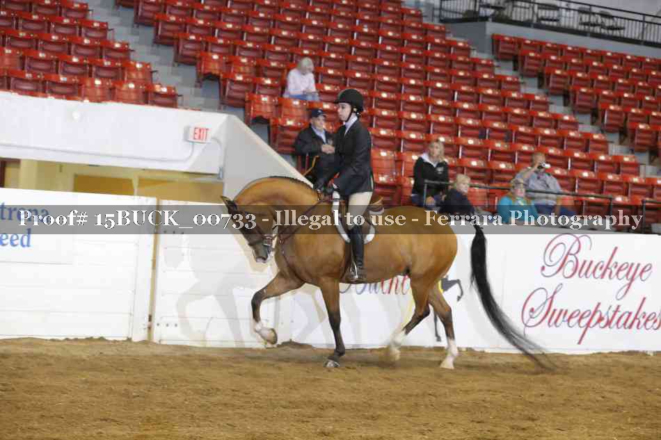 Proof Number 15BUCK_00733