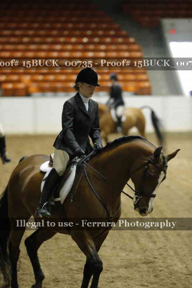 Proof Number 15BUCK_00735