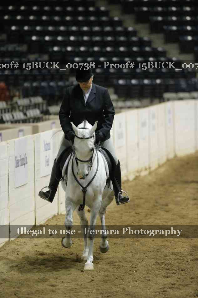 Proof Number 15BUCK_00738