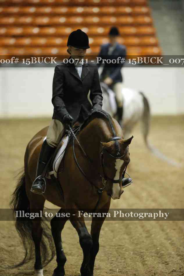 Proof Number 15BUCK_00741