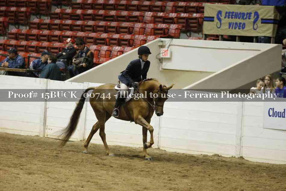 Proof Number 15BUCK_00744