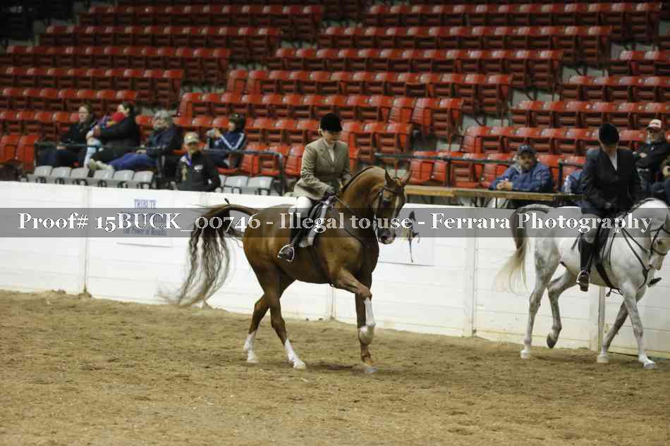 Proof Number 15BUCK_00746
