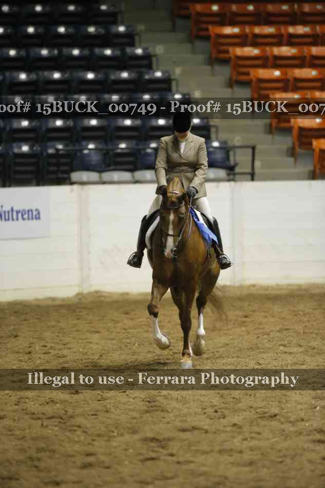 Proof Number 15BUCK_00749